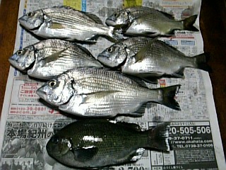 長崎釣果２００６１００７二人で.tinu,kuro.jpg