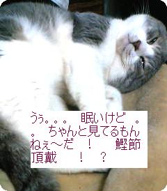 ねむい　1.jpg