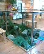 だいだいの花 2.jpg