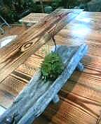 だいだいの花 4.jpg