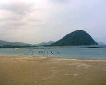 きくがはま 1.jpg