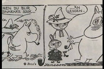 mumin14.jpg