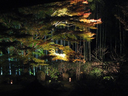 宝泉院