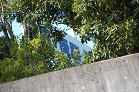 鎌ヶ谷スタジアム_20070504_02.JPG
