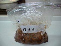 2008 梅味噌2日目.jpg