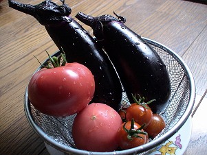 2007 6 29 野菜の収穫.jpg