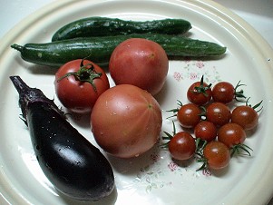 2007 7 6 野菜の収穫.jpg