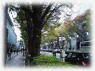 omotesando noon.jpg