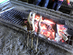 イワナの炭火焼き