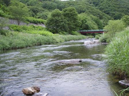 小本川支流大川・七滝上流53.JPG