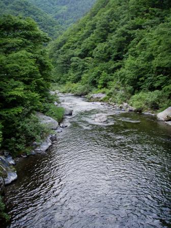閉伊川中流19.JPG