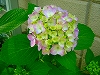 DSCF5766.jpg