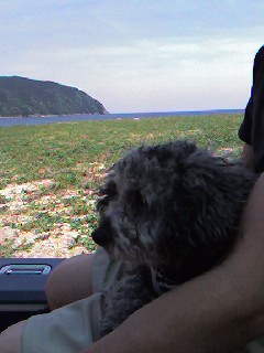 お父さんといっしょ