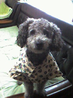 今年もヨロムク～☆