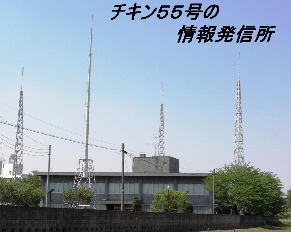 チキン５５号の情報発信所