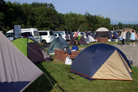 4 虫類　ナウマン公園_4_480