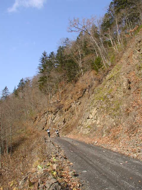 パンケニコロベツ林道_k1