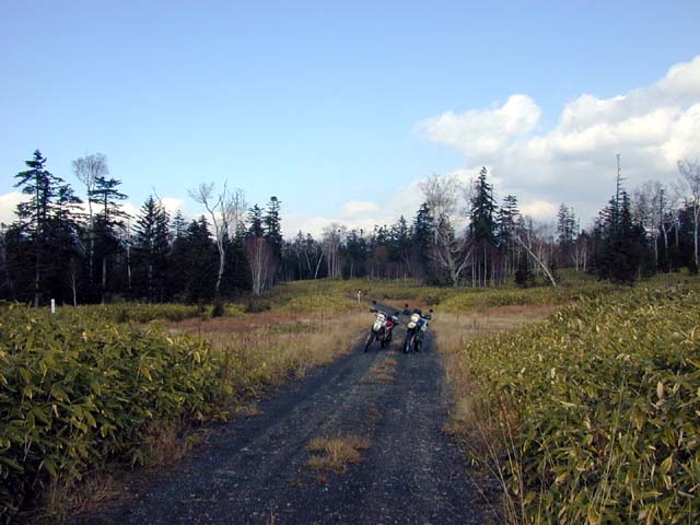 6パンケニコロベツ林道＿支線