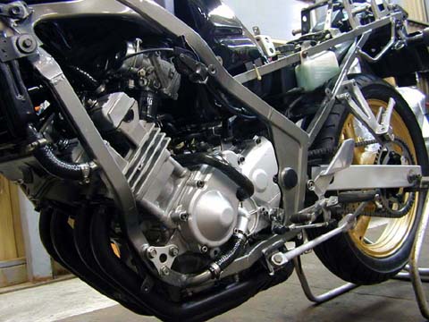 ストリップ完成2_480