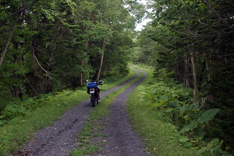 38 厚岸　糸魚沢林道_7_480