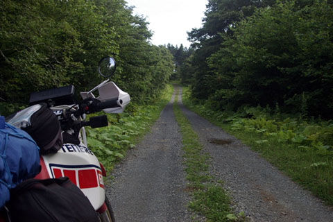 42 厚岸　糸魚沢林道_11_480