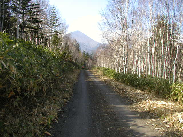 シートカチ＿小城