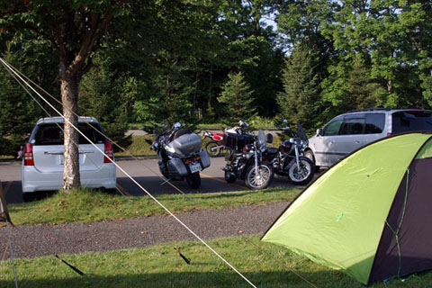 5 虫類　ナウマン公園_5_480