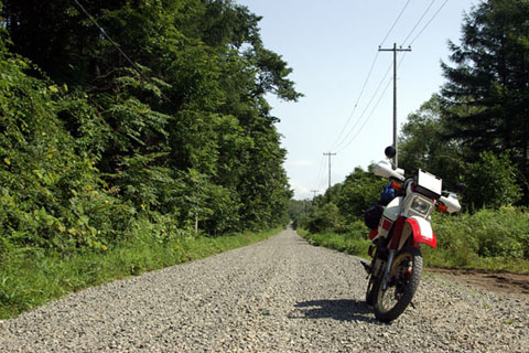 24 豊頃　R881湧洞沼付近_3_480