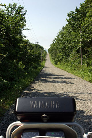 23 豊頃　R881湧洞沼付近_2_480