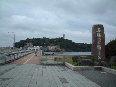 鎌倉・紫陽花 003.JPG