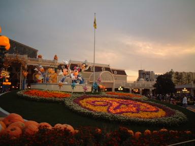 TDL 003.JPG