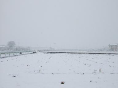 雪景色・３(2010,01,13)