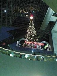京都駅・クリスマスツリー