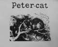 petercat.jpg