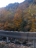 照葉峡3