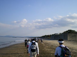 長井浜海岸を歩く 10km(16.04)