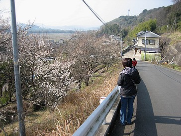 平横瀬付近