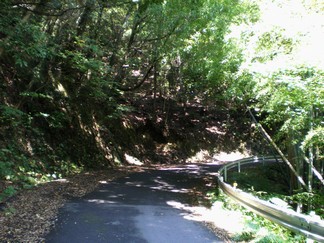 緑に囲まれた山道を歩く　中津浦付近