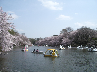 井の頭公園.JPG