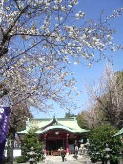 亀ヶ岡八幡宮２０１０春 003.jpg