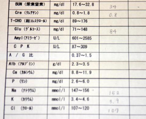 2008年２月血液検査３