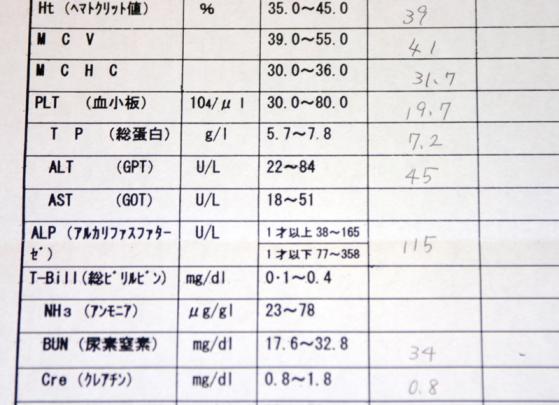 ２００８年２月血液検査２