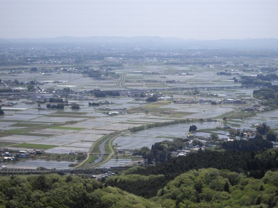 羽黒山より