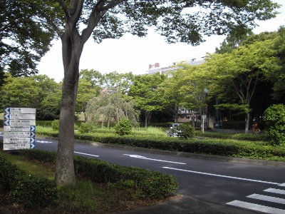 筑波大学