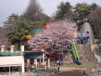 八幡山公園