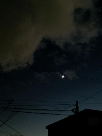 2010111001.jpg