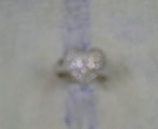 DVC00002.JPG