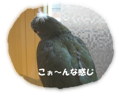 070705－4.JPG