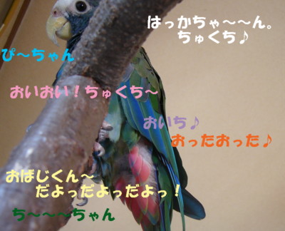 070705－3.JPG