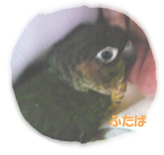 080112－2.JPG